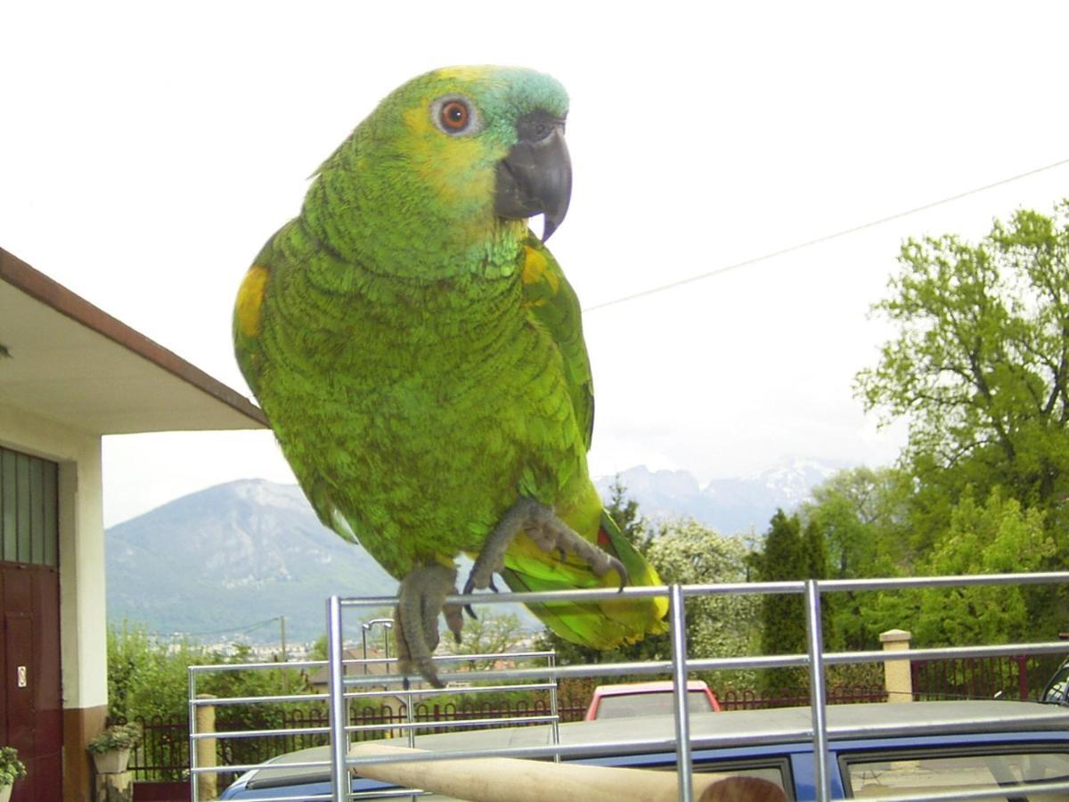 Le Paon Bleu Annecy Poisy B&B 외부 사진